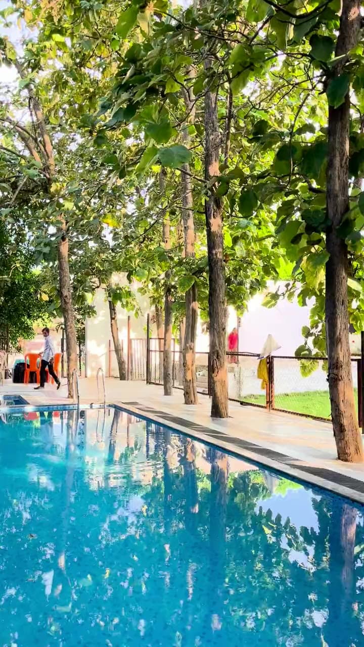 The swimming pool at Sai Samrat, shaded by tall trees